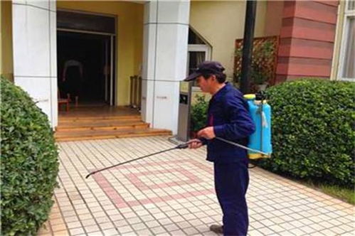 深圳清潔公司 深圳清潔公司 白蓮和清潔 優(yōu)質商家